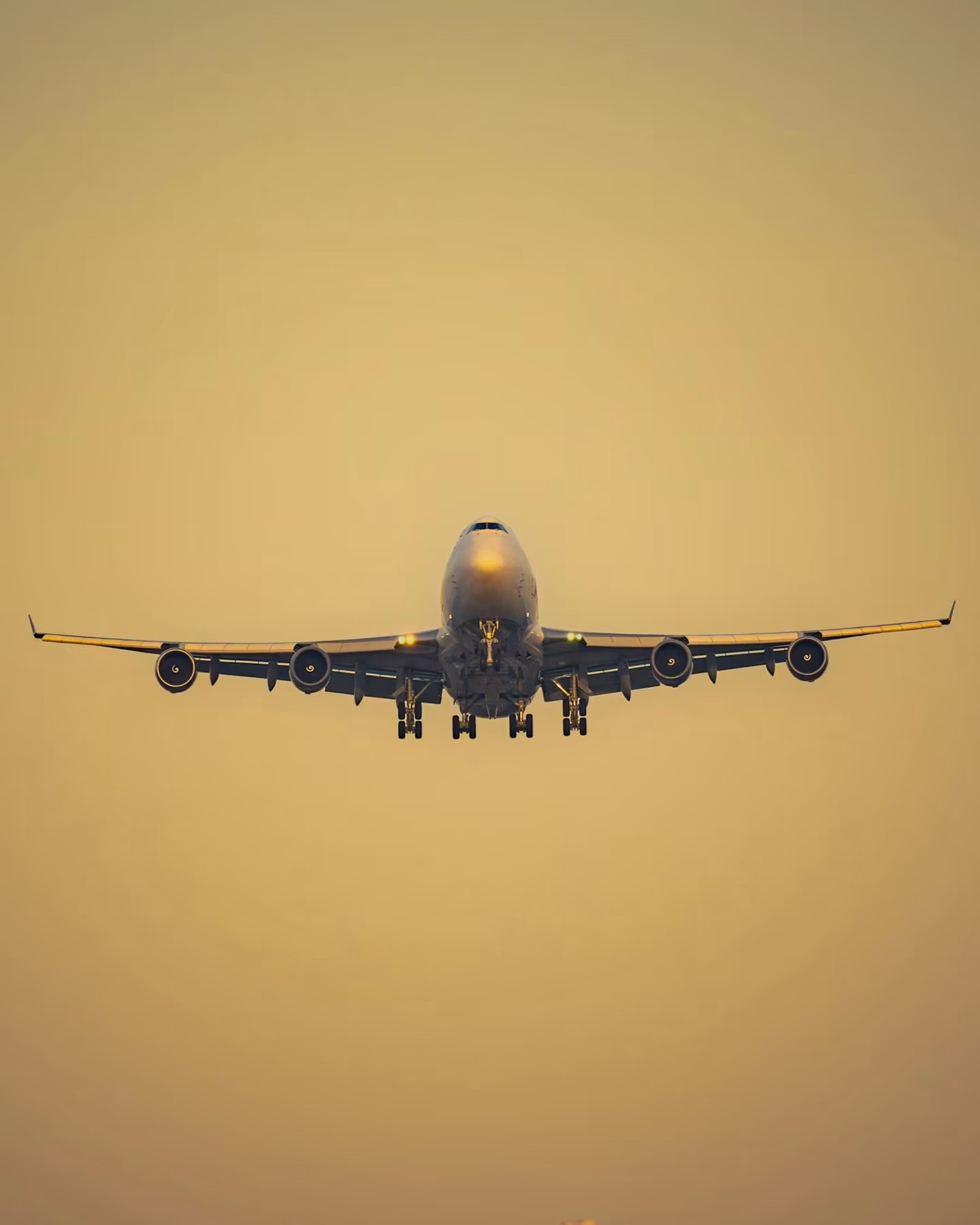 A jumbo jet approaching head-on with its landing gear extended